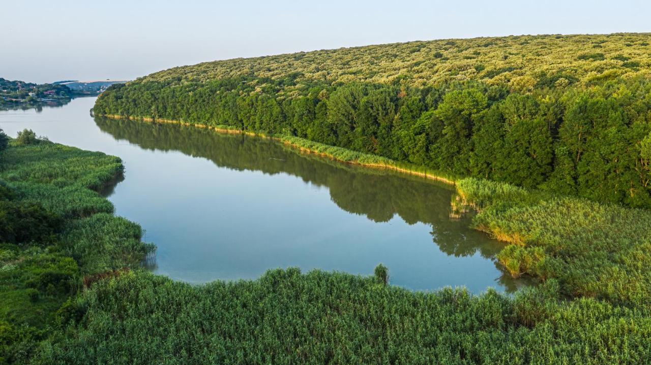 Вила Теkето I Vila Teketo Family Guest House Nikolovo Εξωτερικό φωτογραφία